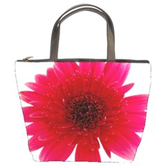 Flower Isolated Transparent Blossom Bucket Bags by Nexatart