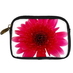 Flower Isolated Transparent Blossom Digital Camera Cases by Nexatart