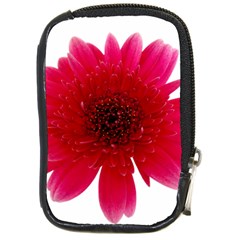 Flower Isolated Transparent Blossom Compact Camera Cases by Nexatart