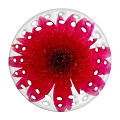 Flower Isolated Transparent Blossom Ornament (round Filigree) by Nexatart