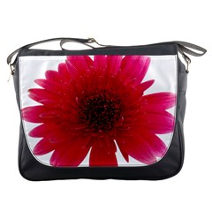 Flower Isolated Transparent Blossom Messenger Bags by Nexatart