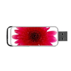 Flower Isolated Transparent Blossom Portable Usb Flash (two Sides) by Nexatart