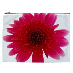 Flower Isolated Transparent Blossom Cosmetic Bag (xxl)  by Nexatart