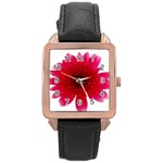 Flower Isolated Transparent Blossom Rose Gold Leather Watch  Front