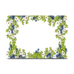 Birthday Card Flowers Daisies Ivy Plate Mats by Nexatart