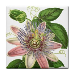 Passion Flower Flower Plant Blossom Tile Coasters by Nexatart