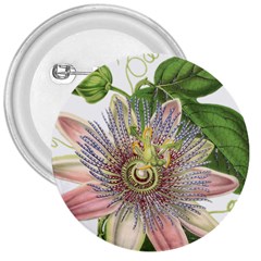 Passion Flower Flower Plant Blossom 3  Buttons by Nexatart