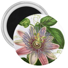 Passion Flower Flower Plant Blossom 3  Magnets by Nexatart