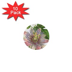 Passion Flower Flower Plant Blossom 1  Mini Buttons (10 Pack)  by Nexatart