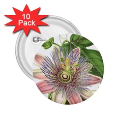 Passion Flower Flower Plant Blossom 2 25  Buttons (10 Pack)  by Nexatart