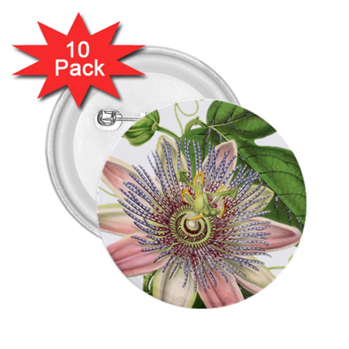 Passion Flower Flower Plant Blossom 2.25  Buttons (10 pack) 