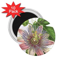 Passion Flower Flower Plant Blossom 2 25  Magnets (10 Pack)  by Nexatart