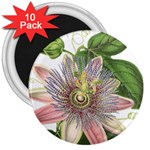 Passion Flower Flower Plant Blossom 3  Magnets (10 pack)  Front