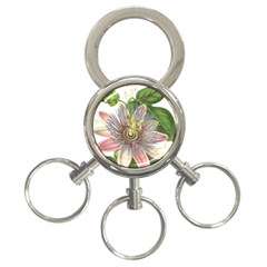 Passion Flower Flower Plant Blossom 3-ring Key Chains by Nexatart