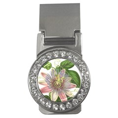 Passion Flower Flower Plant Blossom Money Clips (cz)  by Nexatart