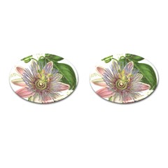 Passion Flower Flower Plant Blossom Cufflinks (oval) by Nexatart