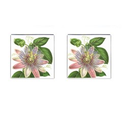 Passion Flower Flower Plant Blossom Cufflinks (square) by Nexatart