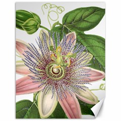 Passion Flower Flower Plant Blossom Canvas 12  X 16   by Nexatart