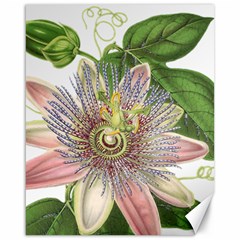 Passion Flower Flower Plant Blossom Canvas 16  X 20   by Nexatart