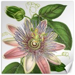 Passion Flower Flower Plant Blossom Canvas 20  x 20   19 x19.27  Canvas - 1