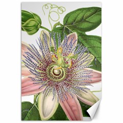 Passion Flower Flower Plant Blossom Canvas 20  X 30   by Nexatart