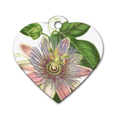 Passion Flower Flower Plant Blossom Dog Tag Heart (two Sides) by Nexatart