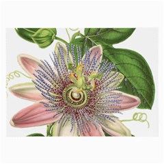 Passion Flower Flower Plant Blossom Large Glasses Cloth (2-side) by Nexatart