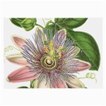 Passion Flower Flower Plant Blossom Large Glasses Cloth (2-Side) Front