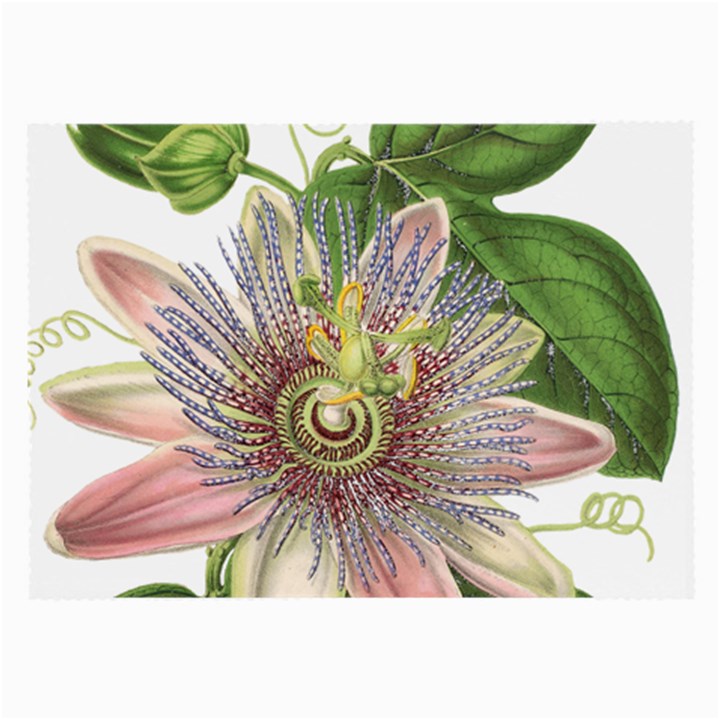 Passion Flower Flower Plant Blossom Large Glasses Cloth (2-Side)