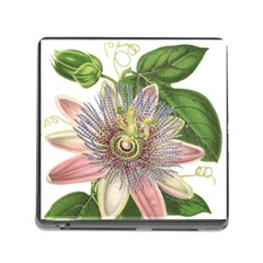 Passion Flower Flower Plant Blossom Memory Card Reader (square) by Nexatart