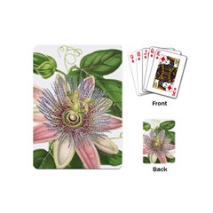 Passion Flower Flower Plant Blossom Playing Cards (mini)  by Nexatart