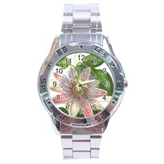 Passion Flower Flower Plant Blossom Stainless Steel Analogue Watch by Nexatart