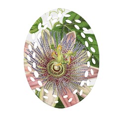 Passion Flower Flower Plant Blossom Oval Filigree Ornament (two Sides) by Nexatart