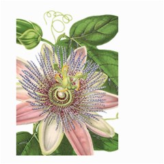 Passion Flower Flower Plant Blossom Small Garden Flag (two Sides) by Nexatart