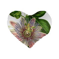 Passion Flower Flower Plant Blossom Standard 16  Premium Heart Shape Cushions by Nexatart