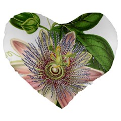 Passion Flower Flower Plant Blossom Large 19  Premium Heart Shape Cushions by Nexatart