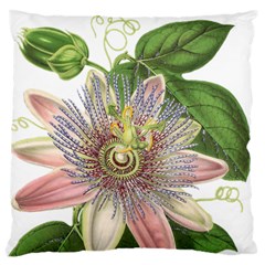 Passion Flower Flower Plant Blossom Standard Flano Cushion Case (two Sides) by Nexatart