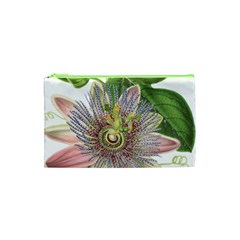 Passion Flower Flower Plant Blossom Cosmetic Bag (xs) by Nexatart