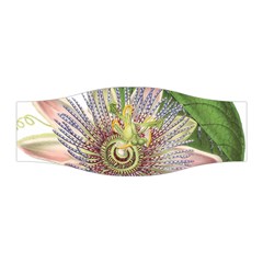 Passion Flower Flower Plant Blossom Stretchable Headband