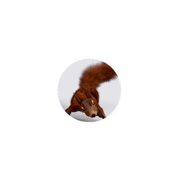 Squirrel Wild Animal Animal World 1  Mini Buttons