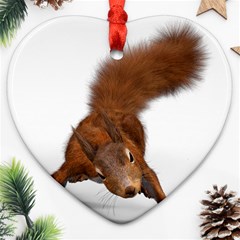 Squirrel Wild Animal Animal World Ornament (Heart)