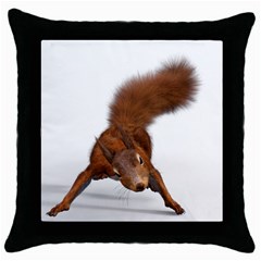 Squirrel Wild Animal Animal World Throw Pillow Case (Black)