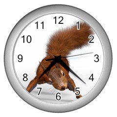 Squirrel Wild Animal Animal World Wall Clocks (Silver) 