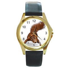 Squirrel Wild Animal Animal World Round Gold Metal Watch by Nexatart