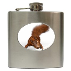 Squirrel Wild Animal Animal World Hip Flask (6 oz)