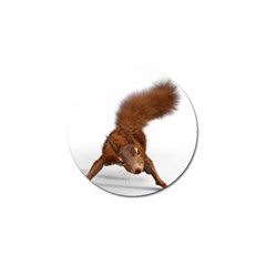 Squirrel Wild Animal Animal World Golf Ball Marker (10 pack)