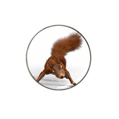 Squirrel Wild Animal Animal World Hat Clip Ball Marker (4 pack)