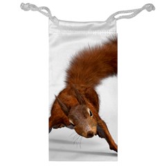 Squirrel Wild Animal Animal World Jewelry Bag by Nexatart