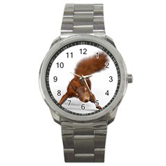 Squirrel Wild Animal Animal World Sport Metal Watch by Nexatart