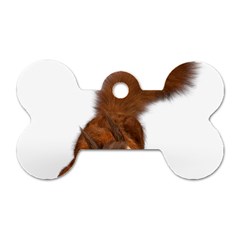 Squirrel Wild Animal Animal World Dog Tag Bone (One Side)